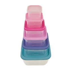 Best Dora Purple 6 Piece Storage Container Set, Multi Storage Containers