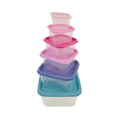 Best Dora Purple 6 Piece Storage Container Set, Multi Storage Containers