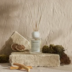 Outlet Home Essentials Green Touch Reed Diffuser 100ml, Aquamarine Home Diffusers