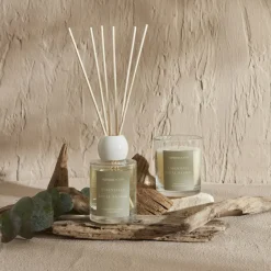 Sale Home Essentials Royal Sandal Reed Diffuser 100ml, Home Diffusers