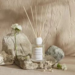 Discount Home Essentials Velvet Reed Diffuser, 100ml, Home Diffusers