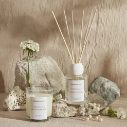 Discount Home Essentials Velvet Reed Diffuser, 100ml, Home Diffusers