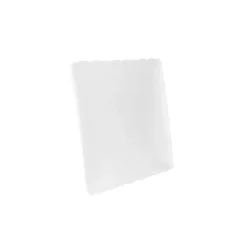 New Ivy Porcelain Dinner Plate, 25cmx25cmx2.2cm, White Dinner Plates