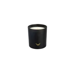 Sale Orange Blossom Candle and Candlestick, Black Candle Holder|Candles