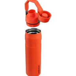 Hot Stanley Aerolight IceFlow Stainless Steel Cold Water Flask, 600ml, Tigerlily Stainless Steel Flasks